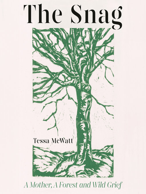 Cover image for The Snag